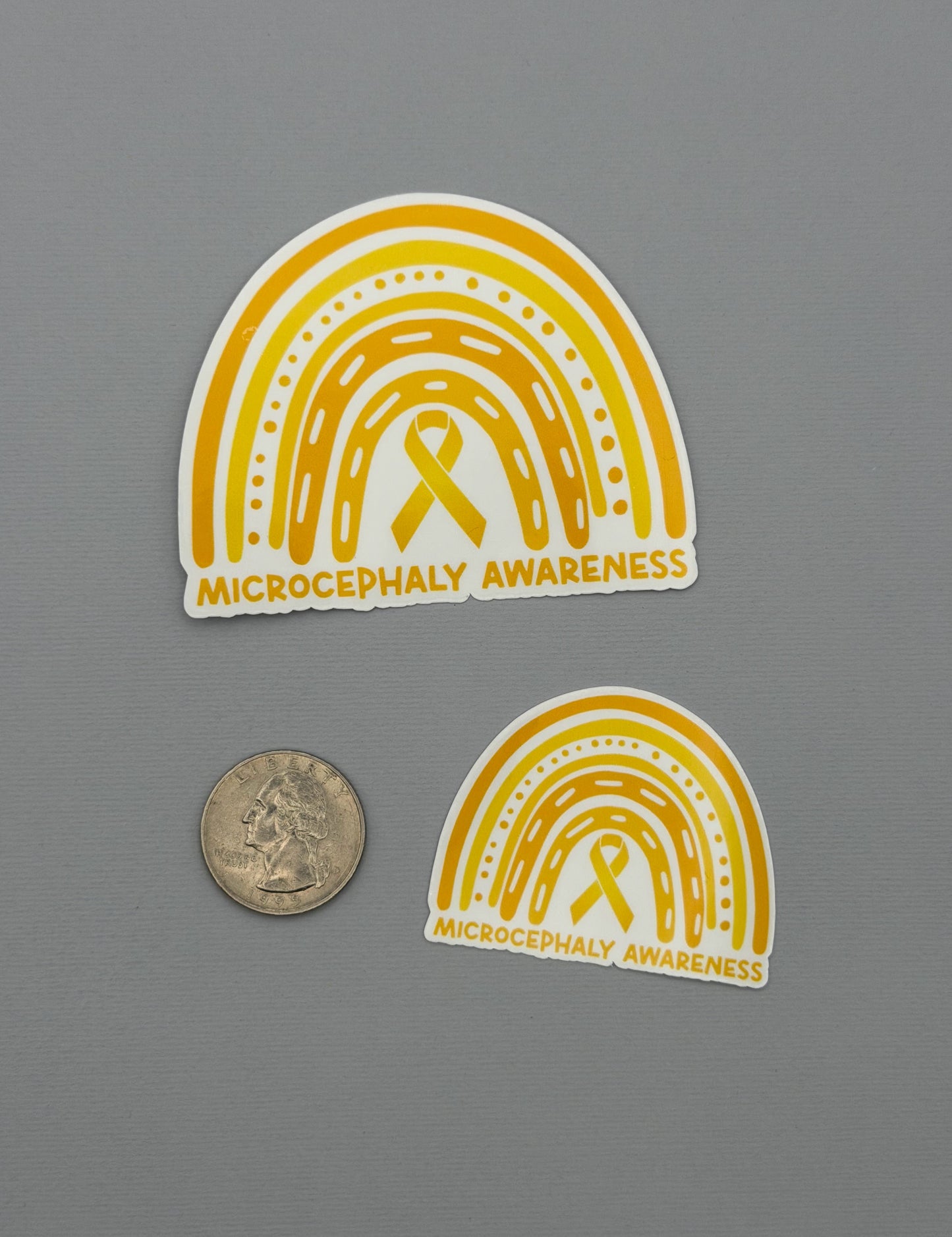 Microcephaly Awareness Rainbow Sticker or Magnet