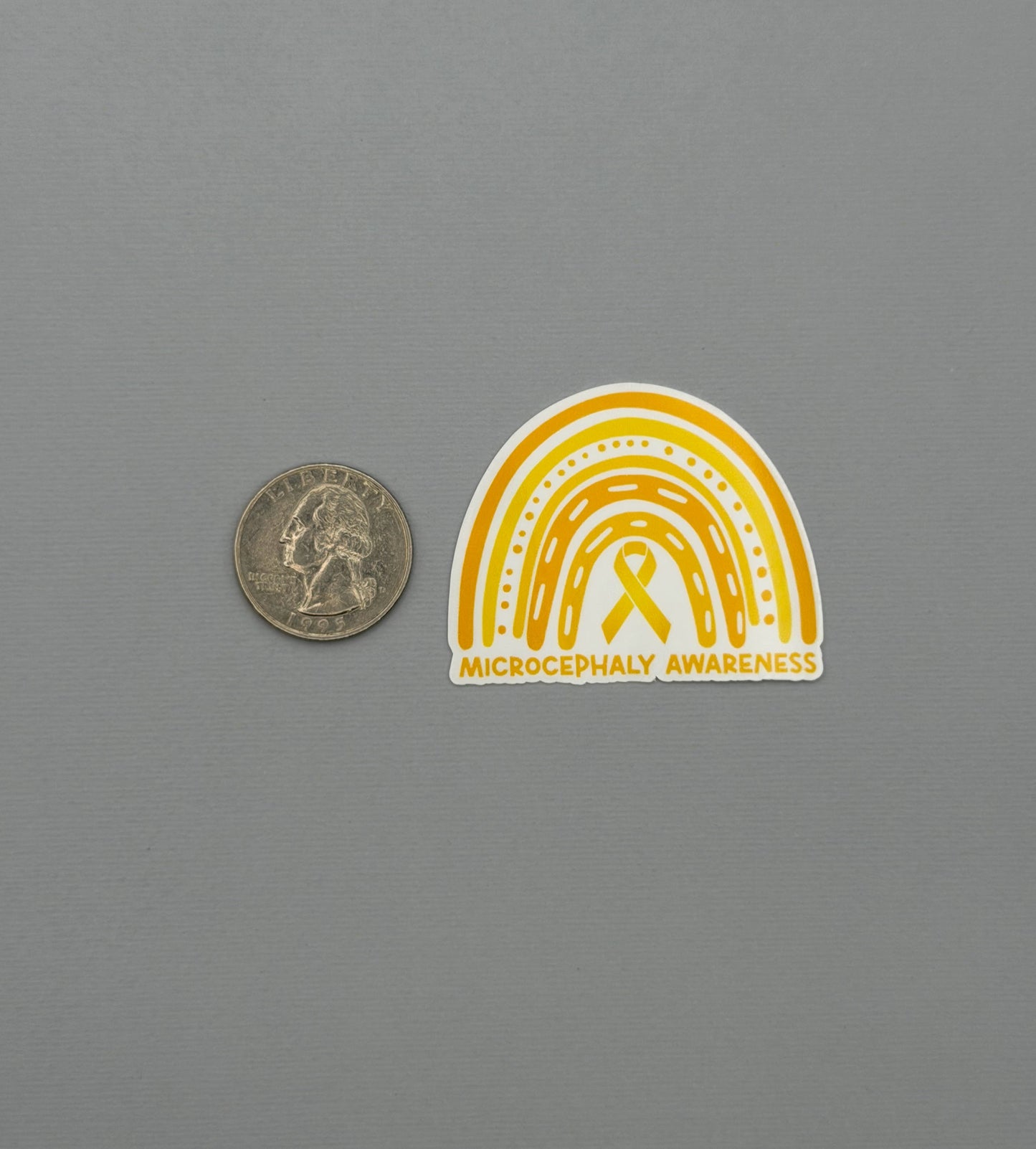 Microcephaly Awareness Rainbow Sticker or Magnet