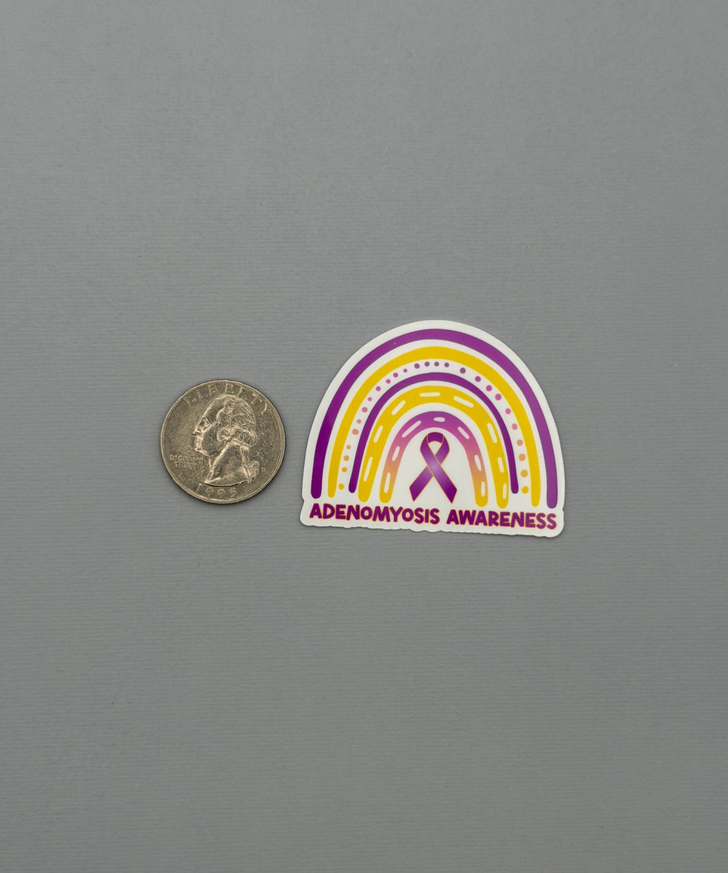 Adenomyosis Awareness Rainbow Sticker or Magnet