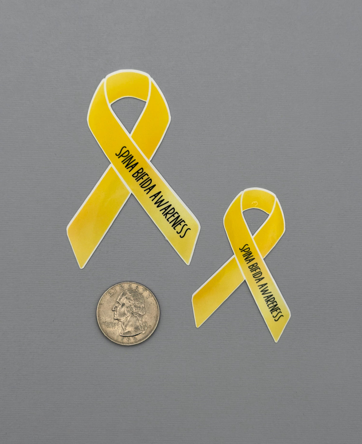 Spina Bifida Awareness Ribbon Sticker or Magnet