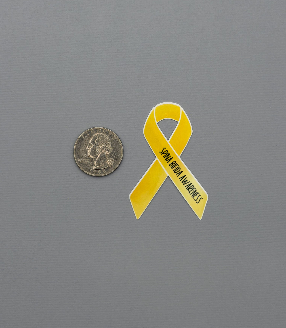 Spina Bifida Awareness Ribbon Sticker or Magnet