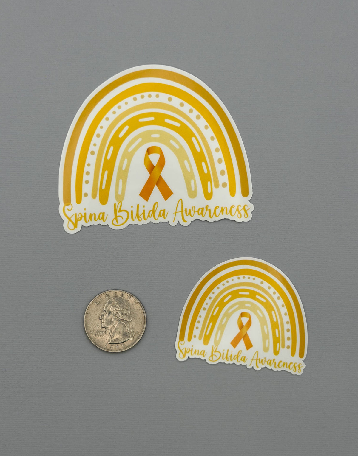 Spina Bifida Awareness Rainbow Sticker or Magnet