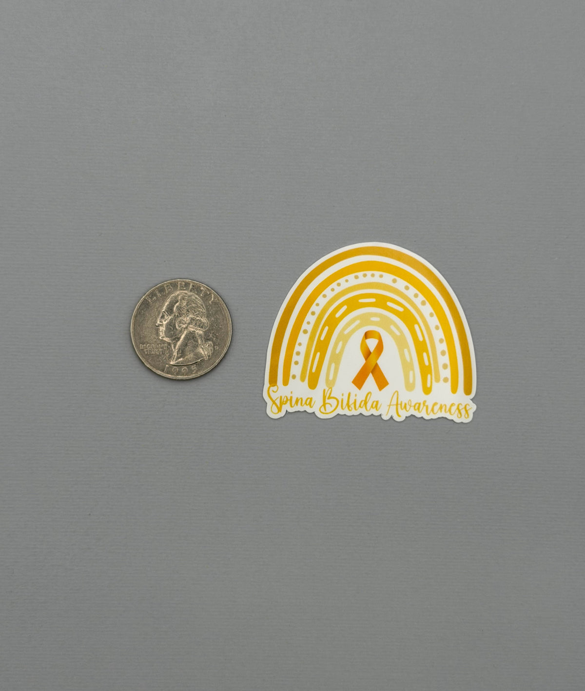 Spina Bifida Awareness Rainbow Sticker or Magnet