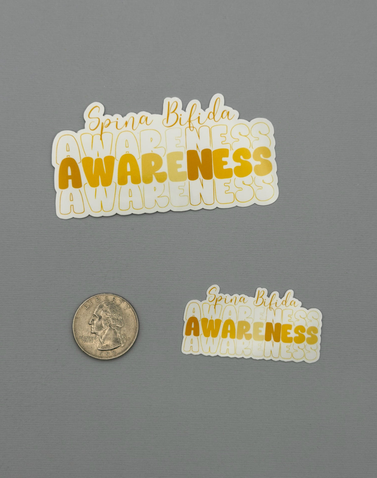 Spina Bifida Awareness Sticker or Magnet