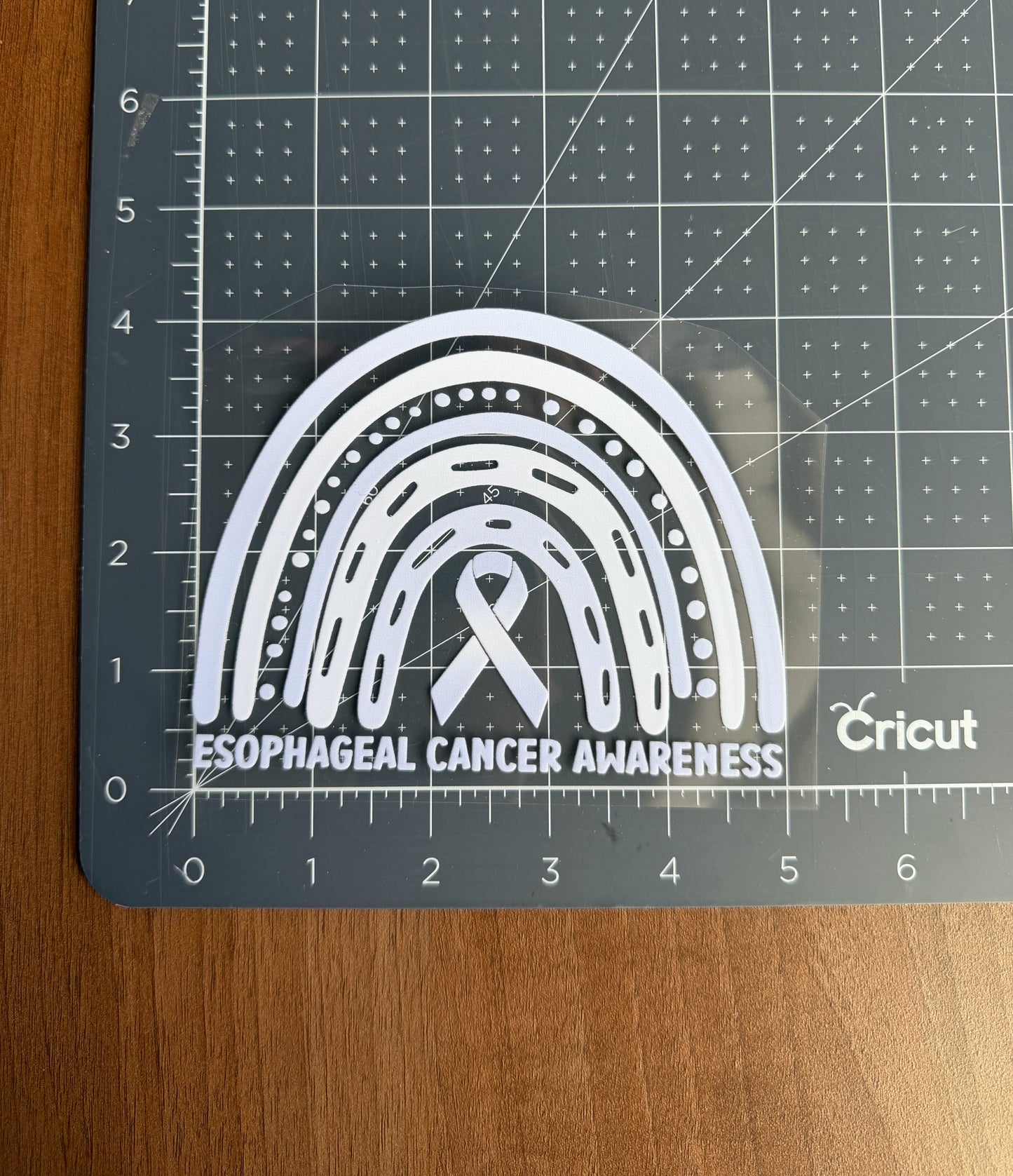 Esophageal Cancer Awareness Rainbow Car Decal