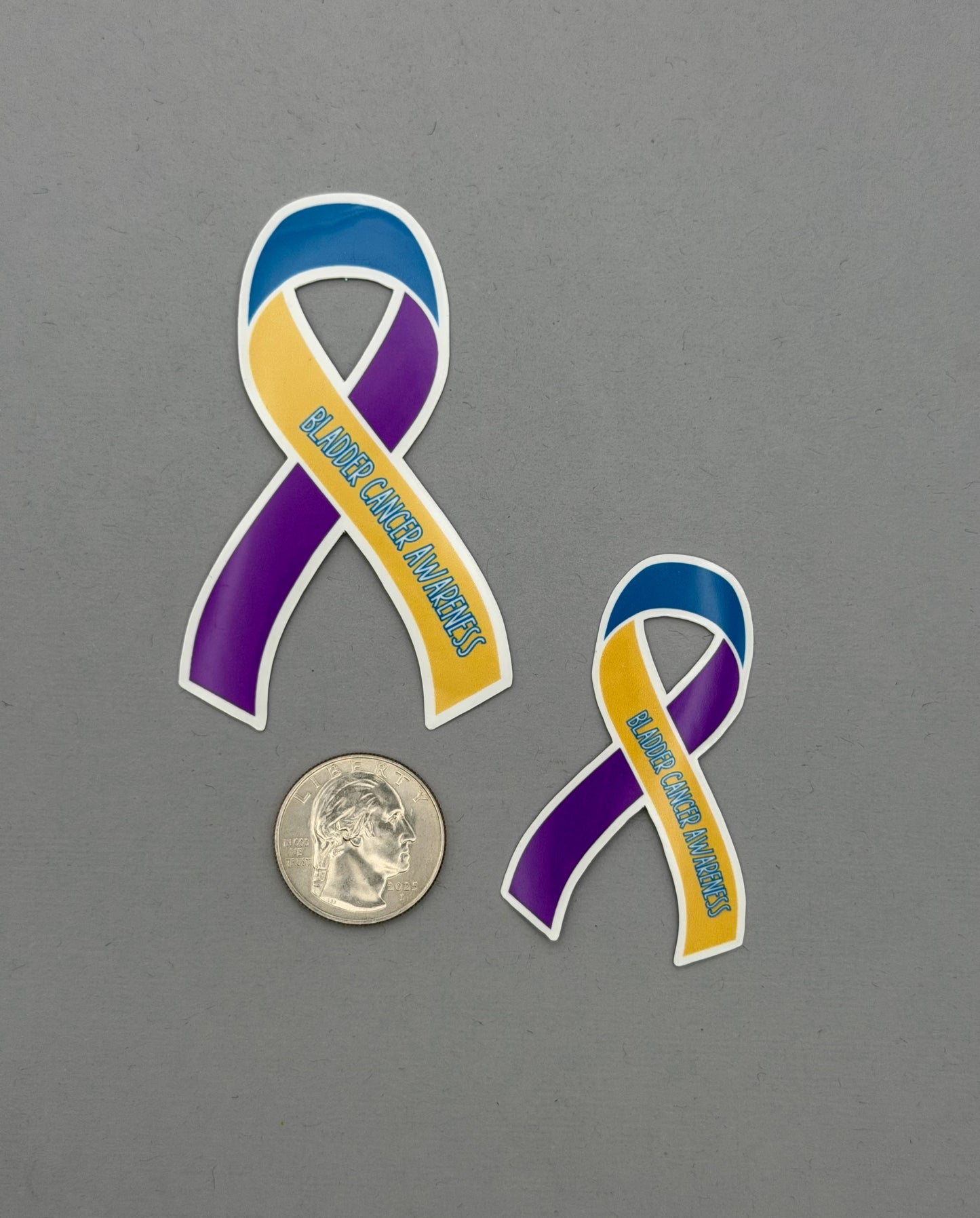 Bladder Cancer Awareness Ribbon Sticker or Magnet