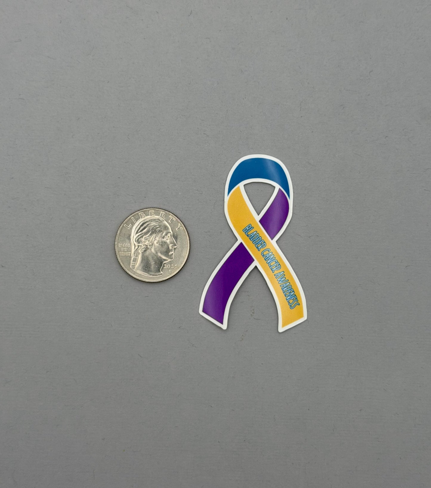 Bladder Cancer Awareness Ribbon Sticker or Magnet