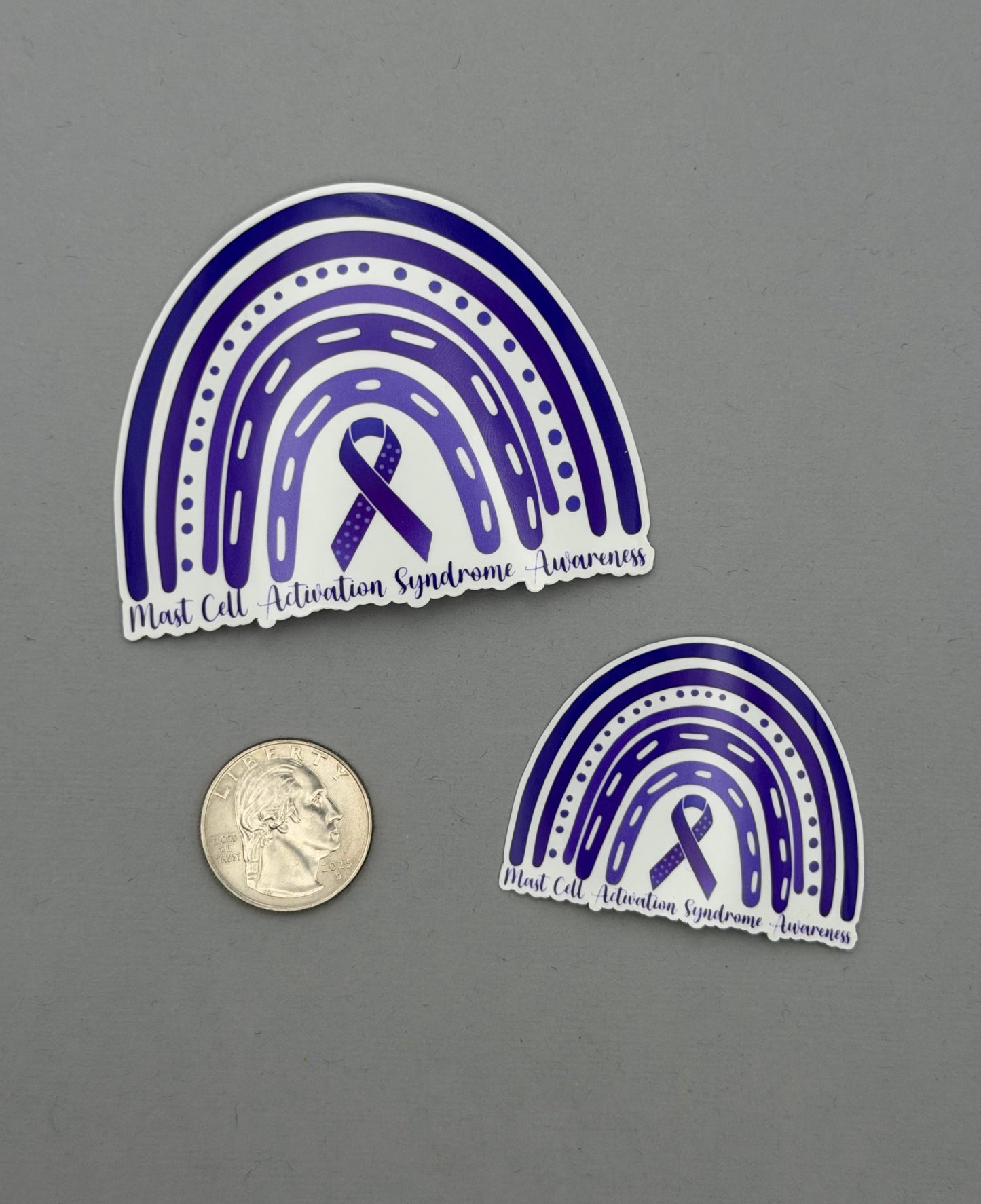 Mast Cell Activation Syndrome Awareness Rainbow Sticker or Magnet