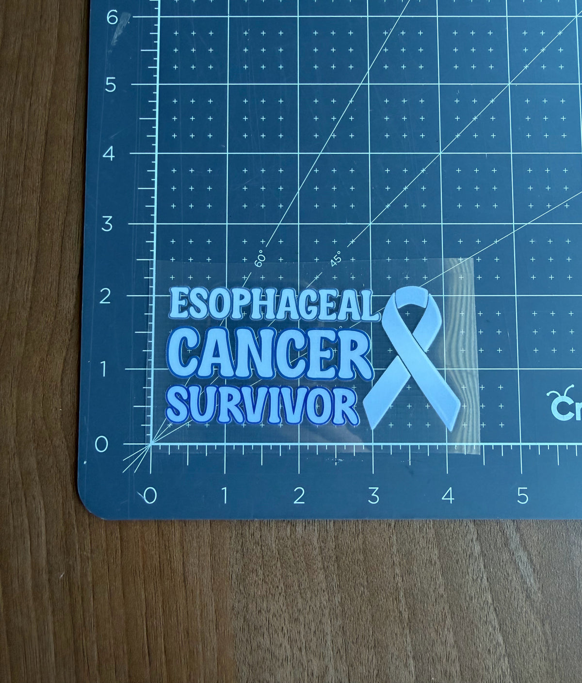 Esophageal Cancer Survivor with Ribbon Car Decal