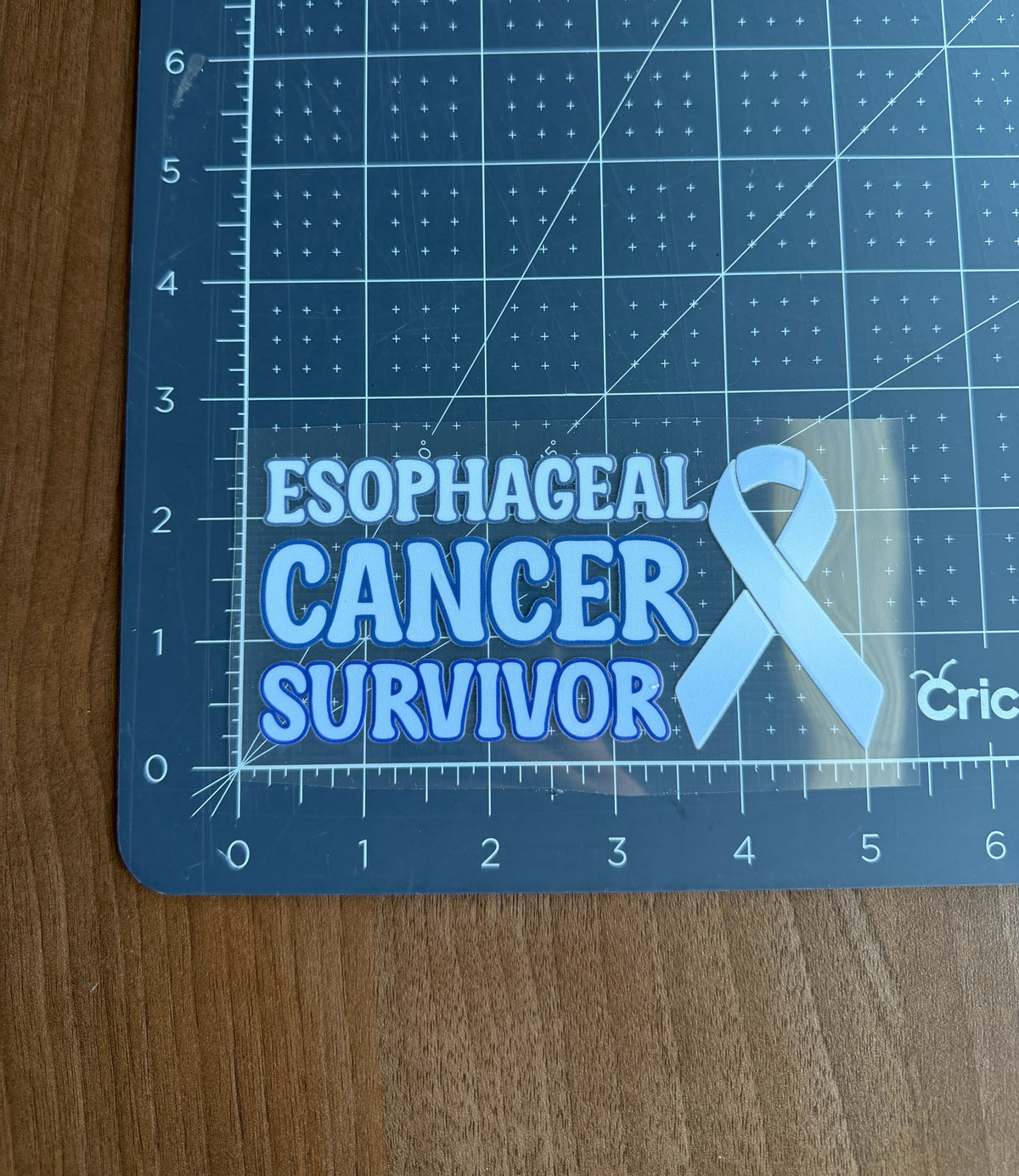 Esophageal Cancer Survivor with Ribbon Car Decal