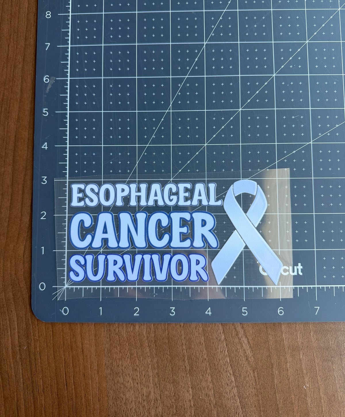 Esophageal Cancer Survivor with Ribbon Car Decal