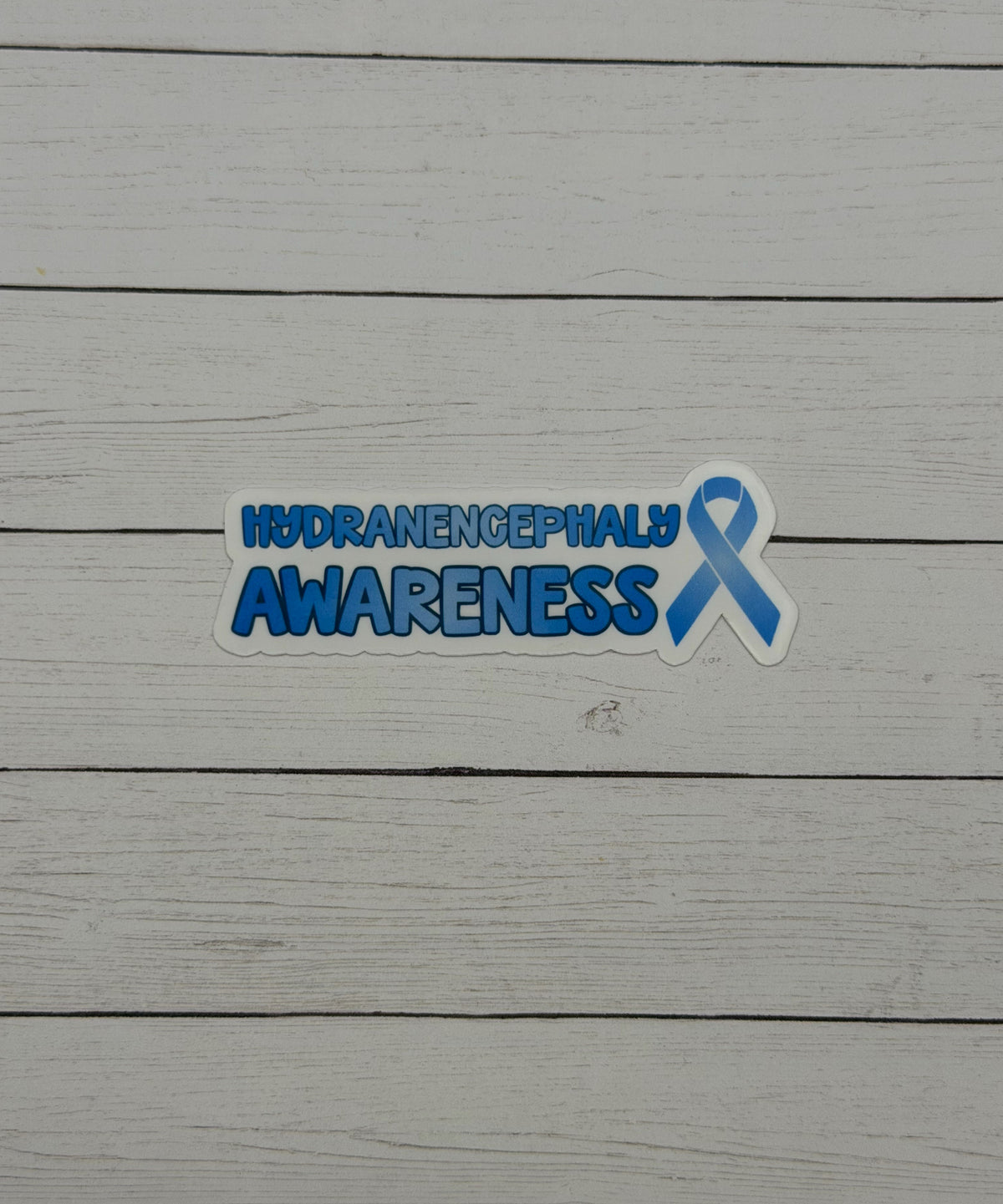 Hydranencephaly Awareness with Ribbon Sticker or Magnet