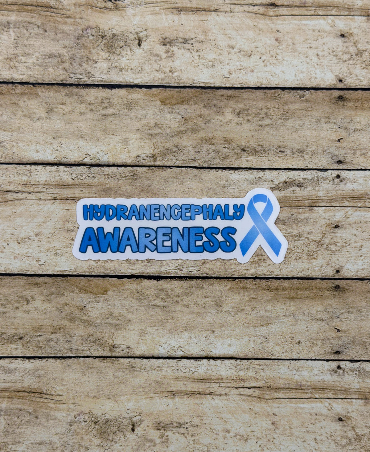 Hydranencephaly Awareness with Ribbon Sticker or Magnet