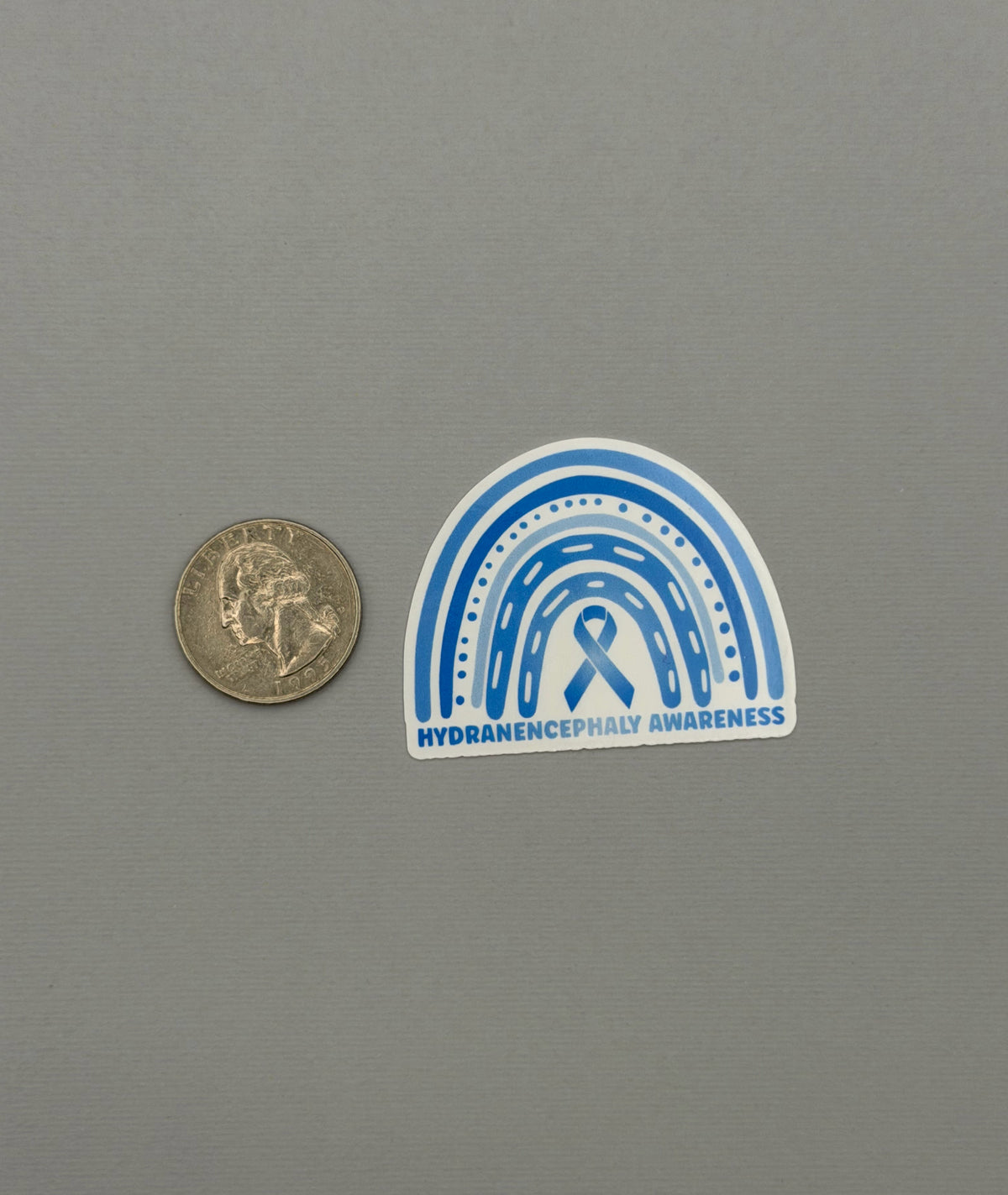 Hydranencephaly Awareness Rainbow Sticker or Magnet