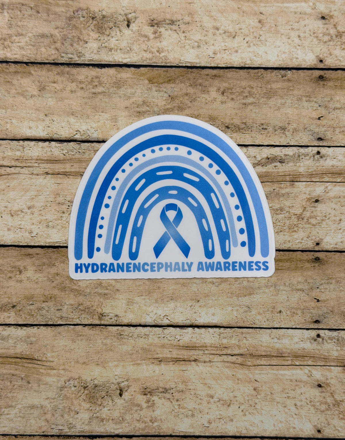 Hydranencephaly Awareness Rainbow Sticker or Magnet