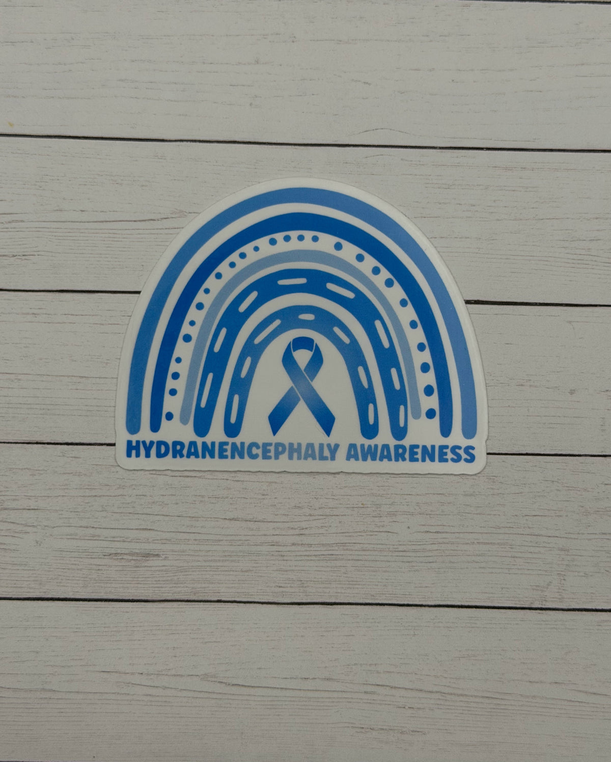 Hydranencephaly Awareness Rainbow Sticker or Magnet