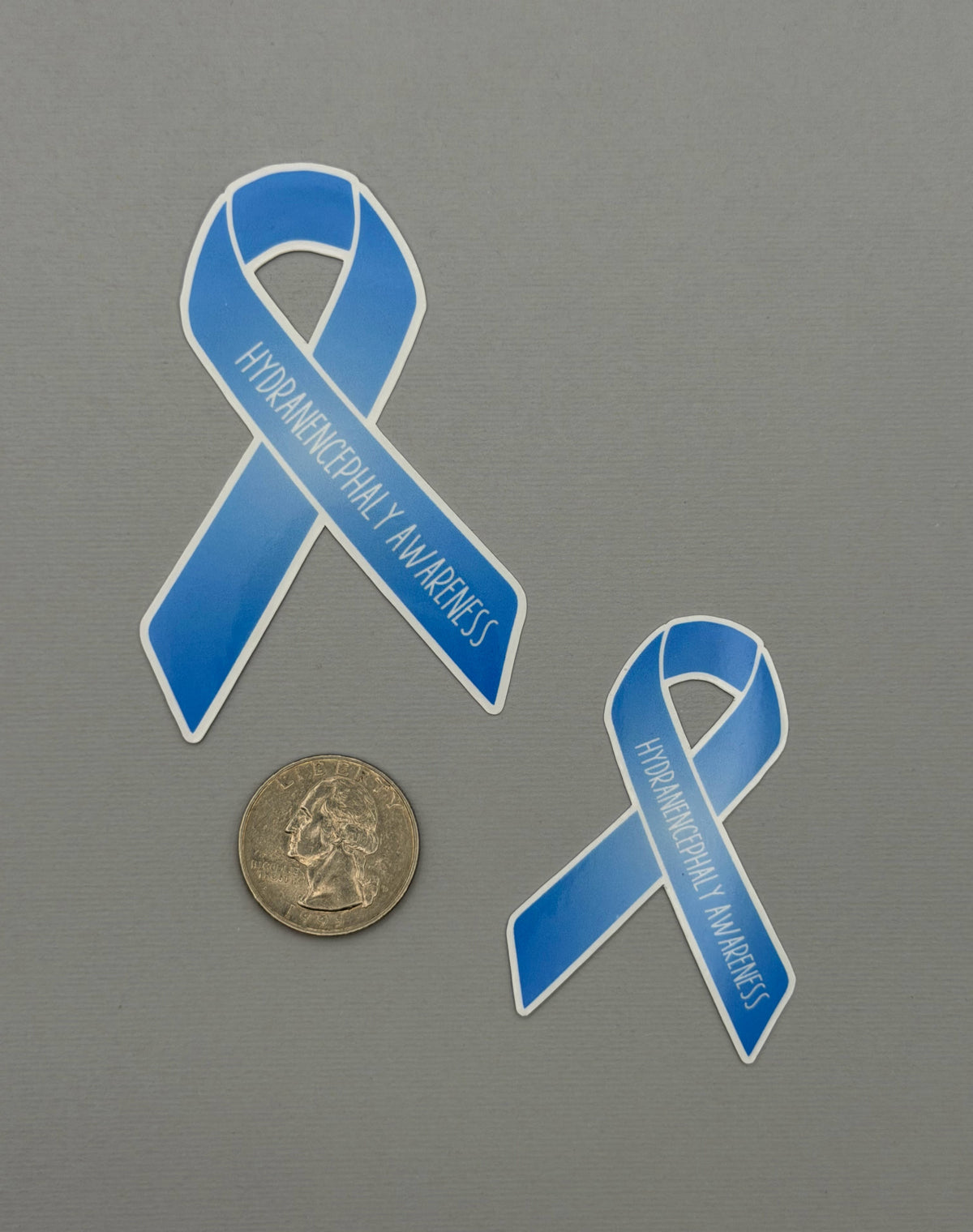 Hydranencephaly Awareness Ribbon Sticker or Magnet