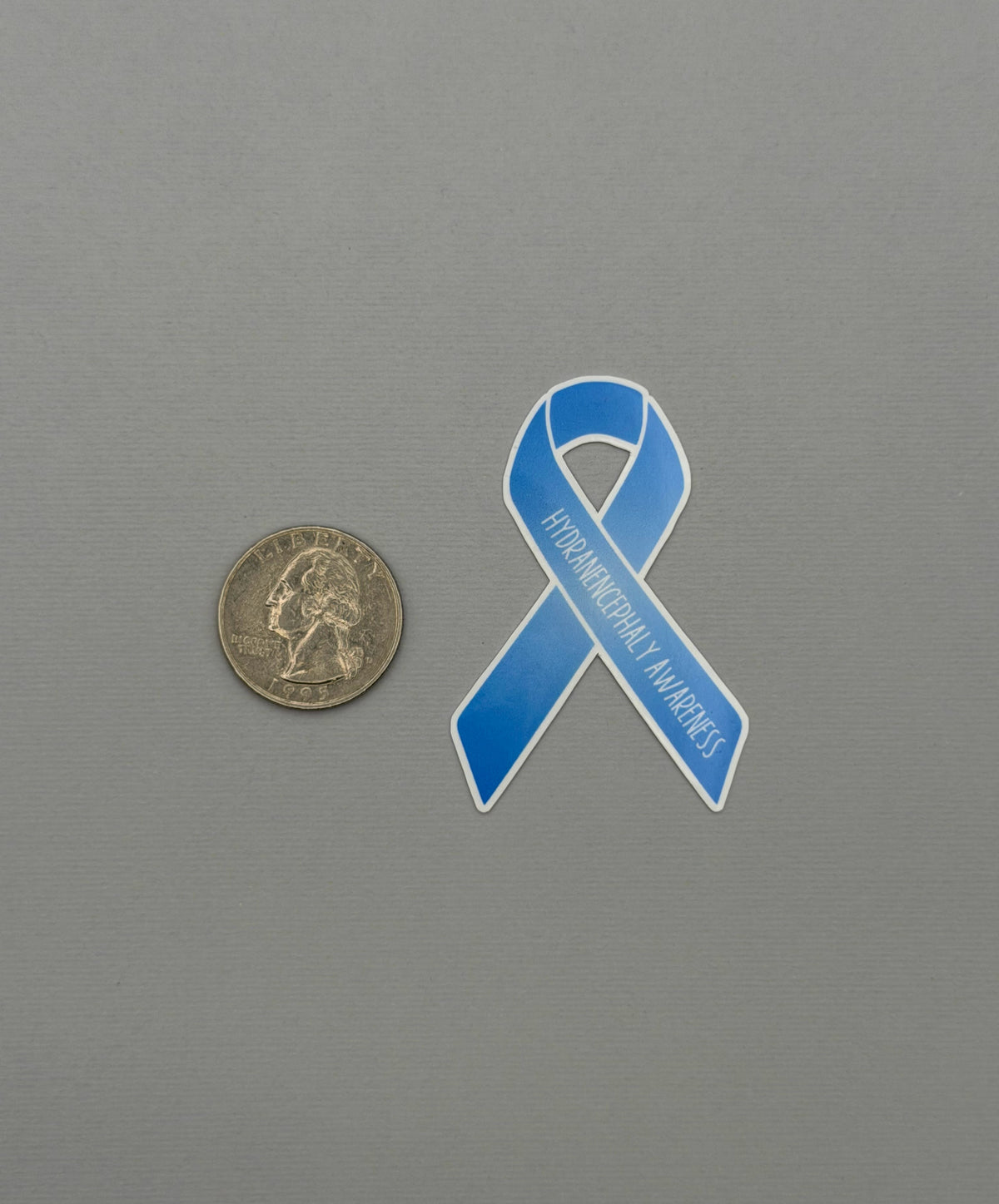 Hydranencephaly Awareness Ribbon Sticker or Magnet