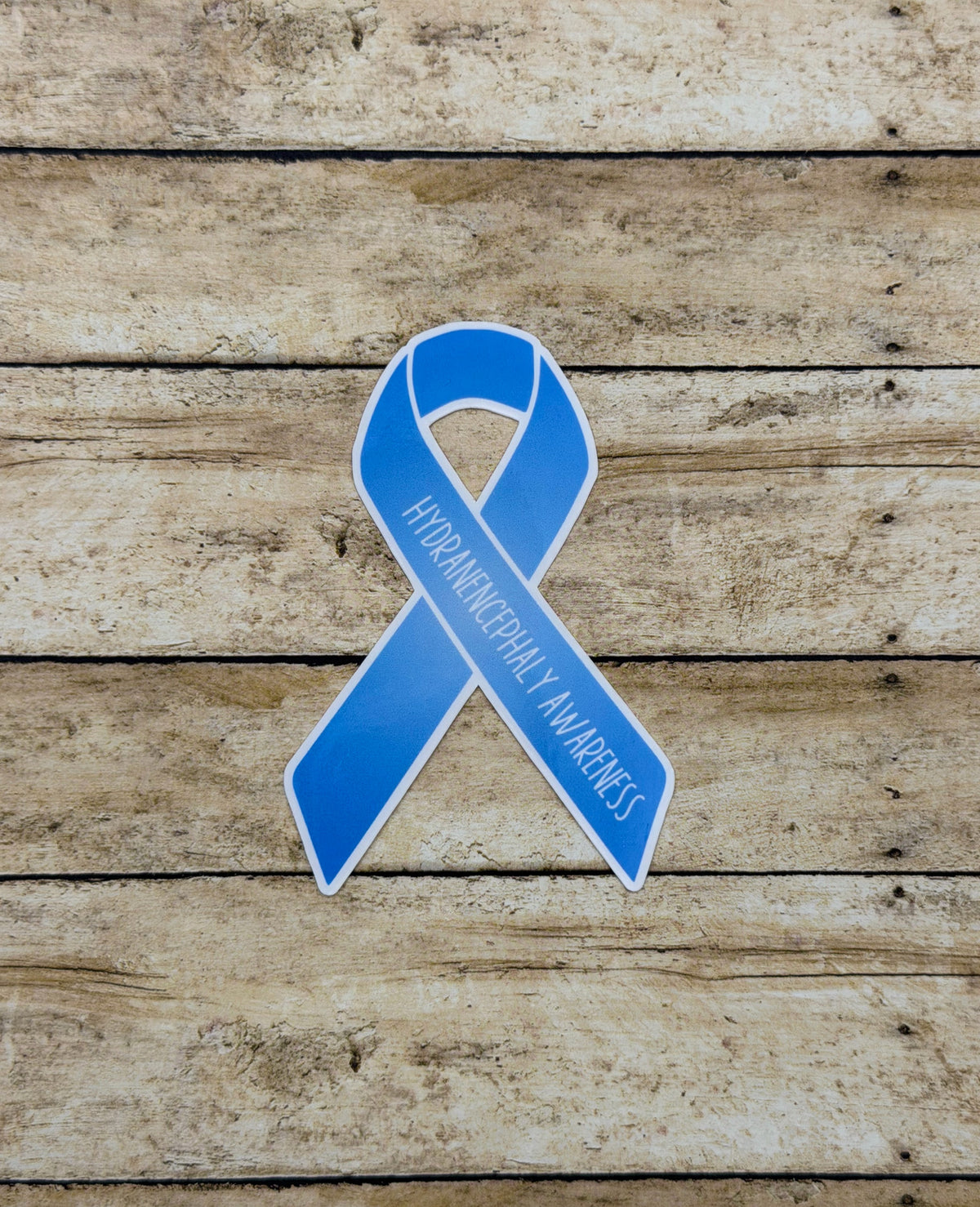 Hydranencephaly Awareness Ribbon Sticker or Magnet