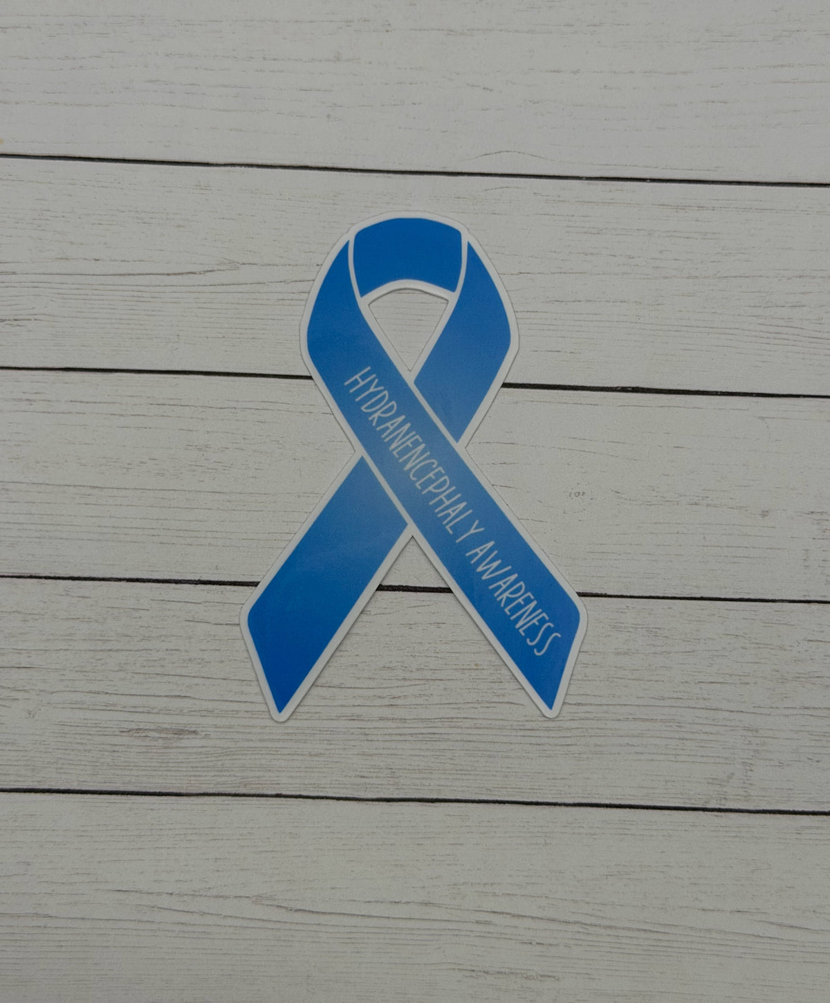 Hydranencephaly Awareness Ribbon Sticker or Magnet