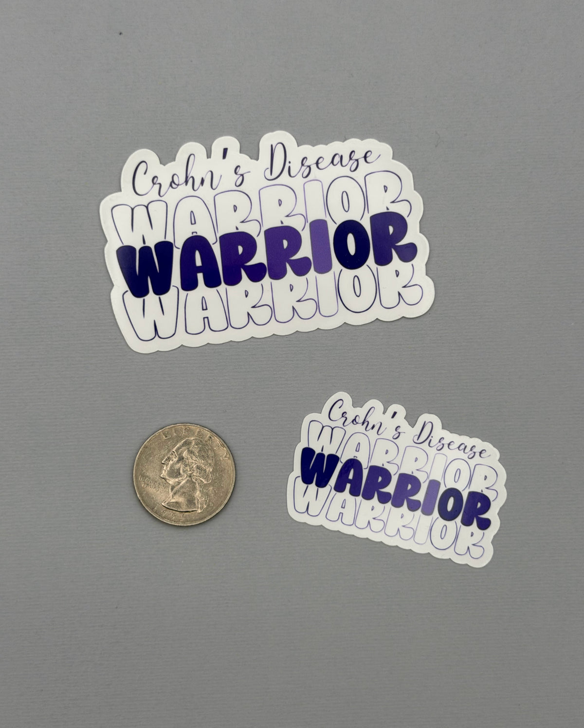 Crohn's Disease Warrior Sticker or Magnet